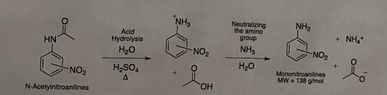 TNH3 NH2 Acid Hydrolysis H2O Neutralizing the amino group + NH+ -NO₂ NH3 NO2 NO2 H2SO4 H2O Mononitroanilines MW = 138 g/mol N