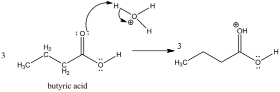 Н.
н
е
ОН
н
3
Н2
С
н
3
н
Нас
Нас
с
Н2
butyric acid