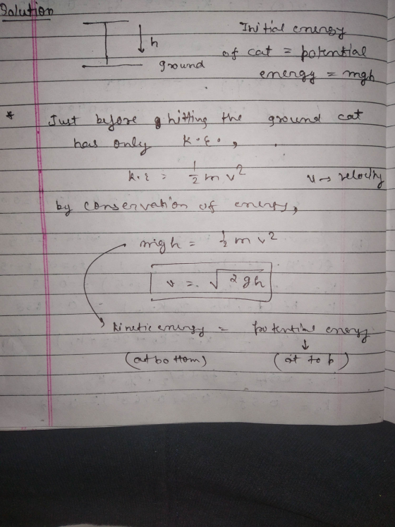 Solution Initial energy of cat a potential - energy = mgh ground Just before a hitting the ground cat has only koco . kre a 2