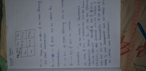 Punnet stuare O XH I Yo XHxh Xhyo Xh xH xh xu yo a. There will be 100.1. of the male offspring will have haemophilia. b. 100