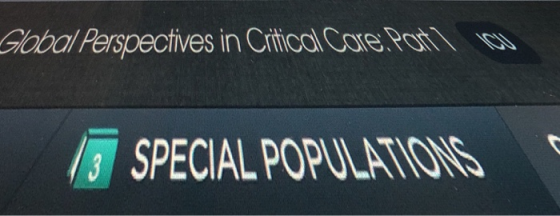 Gobal Perspectives in Citical Core Poit
