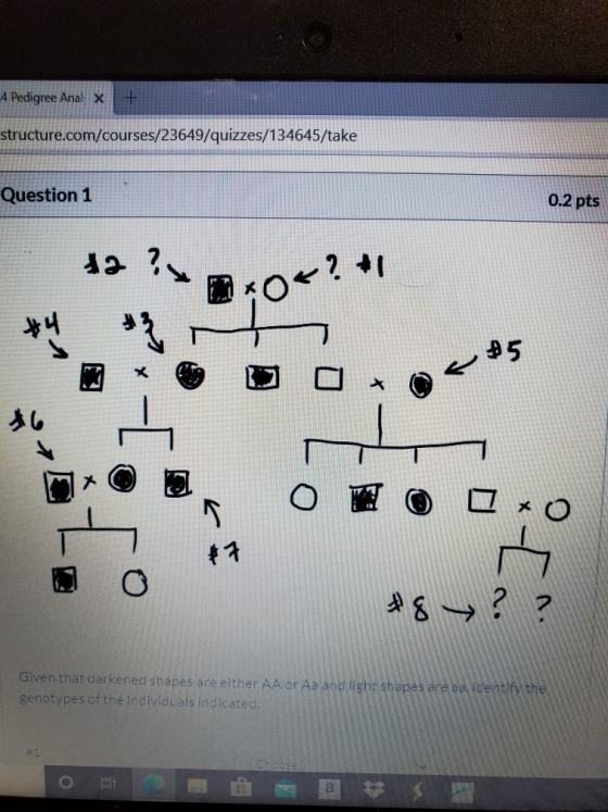 4 Pedigree Anal x + structure.com/courses/23649/quizzes/134645/take Question 1 0.2 pts da ? ? +1 104? $5 $6 O #8 ? ? Given th