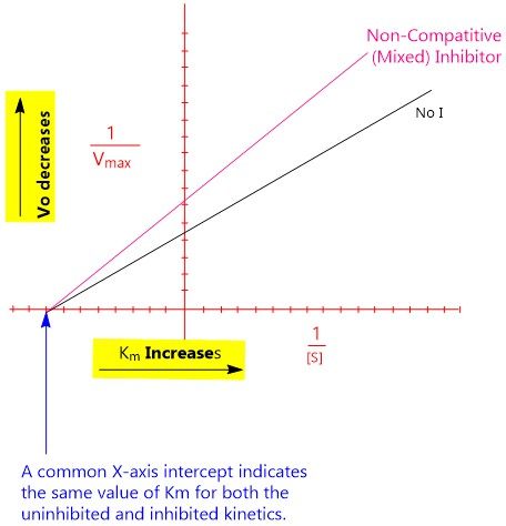Non-Compatitive (Mixed) Inhibitor No I Vmax Km Increases A common X-axis intercept indicates the same value of Km for both th