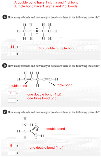 A double bonde A tiple bond he 1 sigurna and 1 gi bork! 1 sigma and 2 pi bonde {a floor marghanisamillioorn a rendowthdio tal