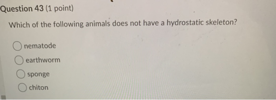 Question 43 (1 point) Which of the following animals does not have a hydrostatic skeleton? nematode earthworm sponge chiton