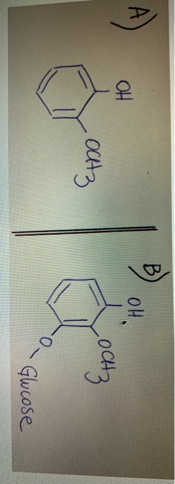 B 애 애 Octa 043 0 Glucose