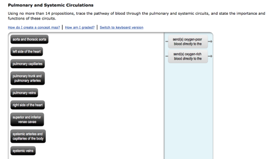 Pulmonary and Systemic Circulations Using no more than 14 propositions, trace the pathway of blood through the pulmonary and systemic circuits, and state the importance and functions of these circuits. How do create a concept map? l How am graded? I Switch to keyboard version aorta and thoracic aorta send(s) oxygen-poor blood directly to the left side of the heart send(s) oxygen-rich blood directly to the pulmonary capillaries pulmonary trunk and pulmonary arteries pulmonary veins right side of the heart superior and inferior venae cavae systemic arteries and capillaries of the body systemic veins