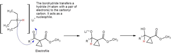 The borohydride transfers a hydride (H-atom with a pair of electrons) to the carbonyl carbon. It acts as a H3C + nucleophile
