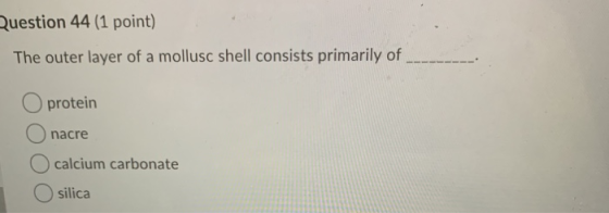 Question 44 (1 point) The outer layer of a mollusc shell consists primarily of protein nacre calcium carbonate silica