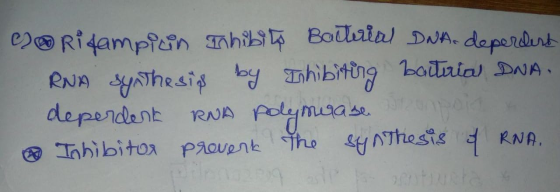 Rifampicin Thibito Bacterial DNA-deperdert RNA synthesis by Inhibiting bacterial DNA. deperdent RNA polymerase e Inhibitor pr