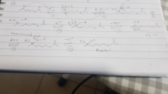 2 3 1 6 9 - P 5 1 Horo-R hemia ROH RO -н во о Acetal