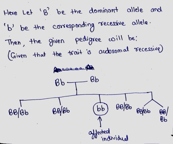 Here Let B? be the dominant allele and b be the corresponding recessive allele. Then, the given pedigree will be: (Given t