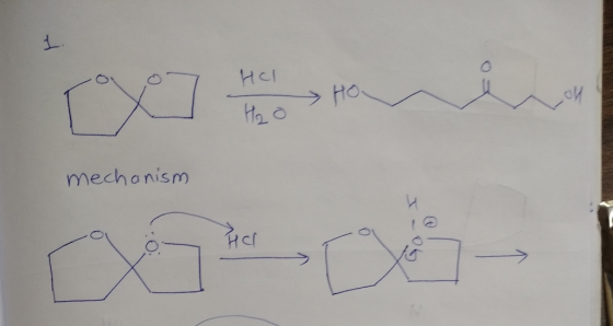 Hol Ho H₂o mechanism