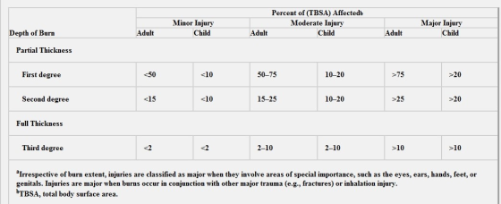 Minor Injury Child Percent of (TBSA) Affected Moderate Injury Child Major Injury Child Depth of Burn Adult Adult Adult Partia