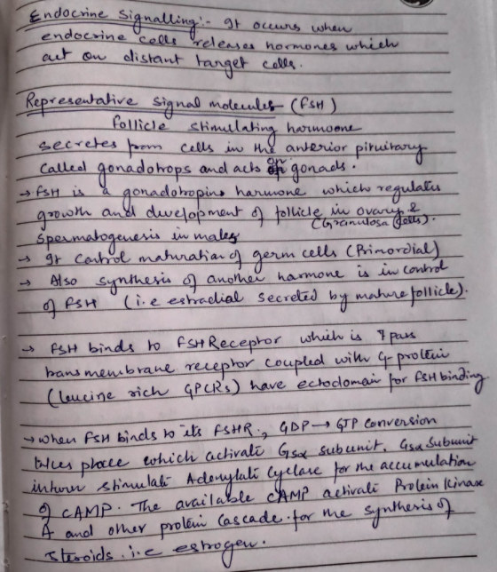 Endocrine Signalling! It occurs when endocrine colls releases hormones which act on distant target colle. Representative sign