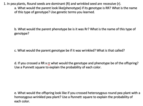 1. In pea plants, Round seeds are dominant (R) and wrinkled seed are recessive (r). a. What would the parent look like(phenot