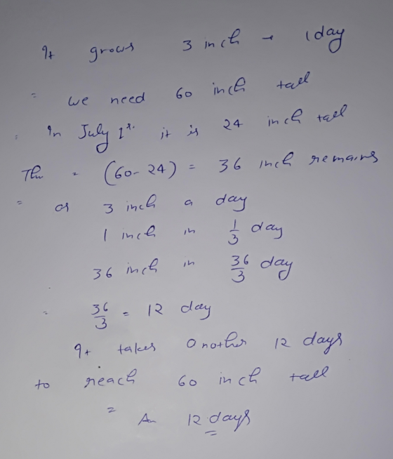 need remain inc It grows 3 inch (day we need 60 inch tall in July 2². it is 24 inch tall The - (6o. 24) = 36 inch remains - a