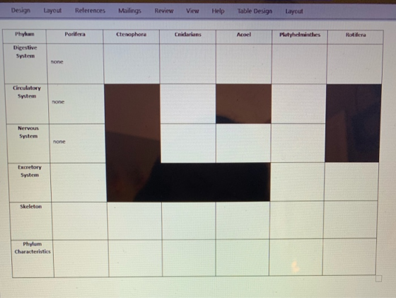 Design Layout References Mailings Review View H elp Table Design Layout Phylum Porifera Ctenophora Cnidarians Acoel Platyhelm