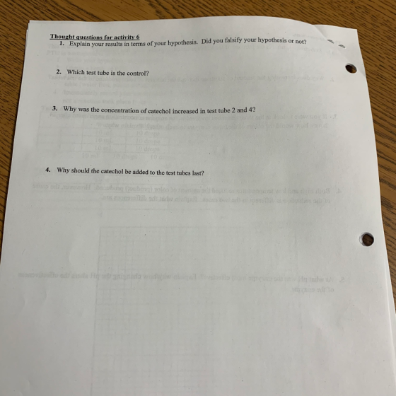 Thought questions for activity 6 1. Explain your results in terms of your hypothesis. Did you falsify your hypothesis or not?