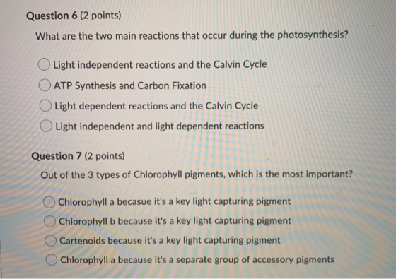 Question 6 (2 points) What are the two main reactions that occur during the photosynthesis? Light independent reactions and t