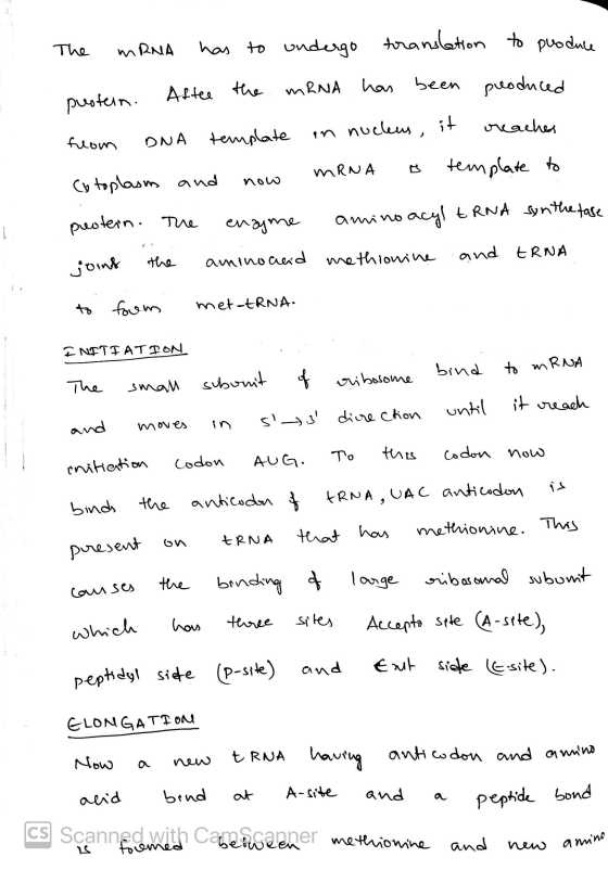 The mRNA has to undergo translation to produce the mRNA has been produced puotein. Aftee the vreaches DNA from template in nu