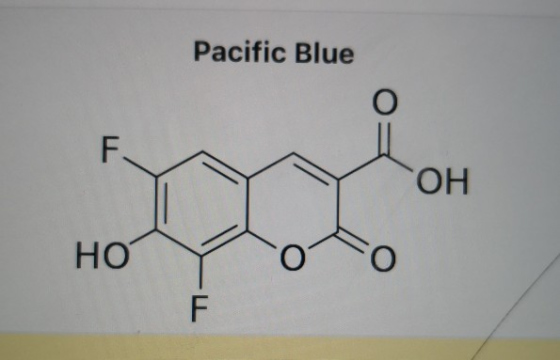 Pacific Blue ОН НО