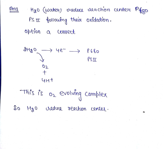 Ang center Pfoo Hao (water) vreduce reaction PS II following their oxidation. option a correct aHgO y e- ko > P680 PS П. CHI