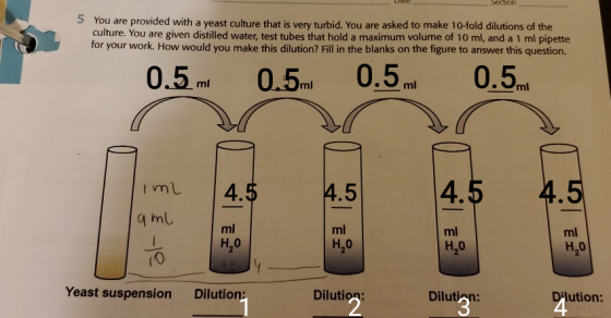 5 You are provided with a yeast culture that is very turbid. You are asked to make 10-fold dilutions of the culture. You are