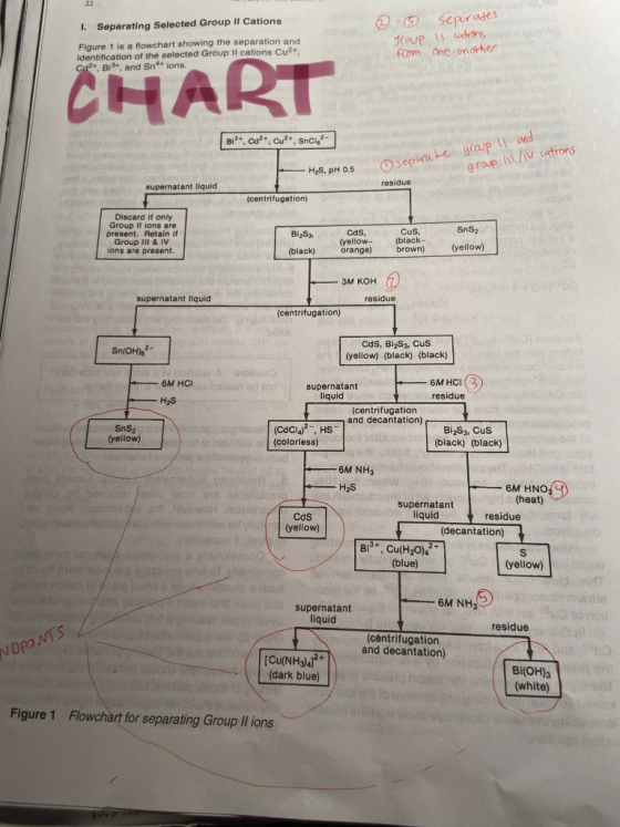 I. Separating Selected Group II Cations -5 group from sepurades 1 catrons one another Figure 1 is a flowchart showing the sep