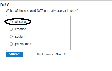 Part A Which of these should NOT normally appear in urine? O glucose O creatine O sodium O phosphates Submit My Answers Give