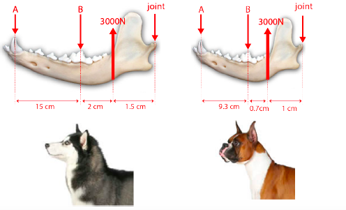 joint joint 3000N 3000N 15 cm 2 cm 1.5 cm 9.3 cm 0.7cm 1 cm