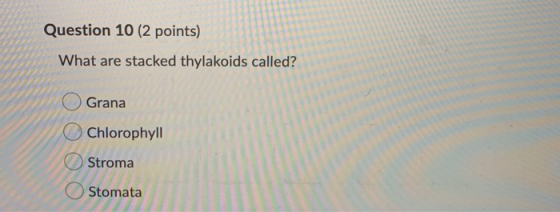 Question 10 (2 points) What are stacked thylakoids called? Grana Chlorophyll Stroma Stomata