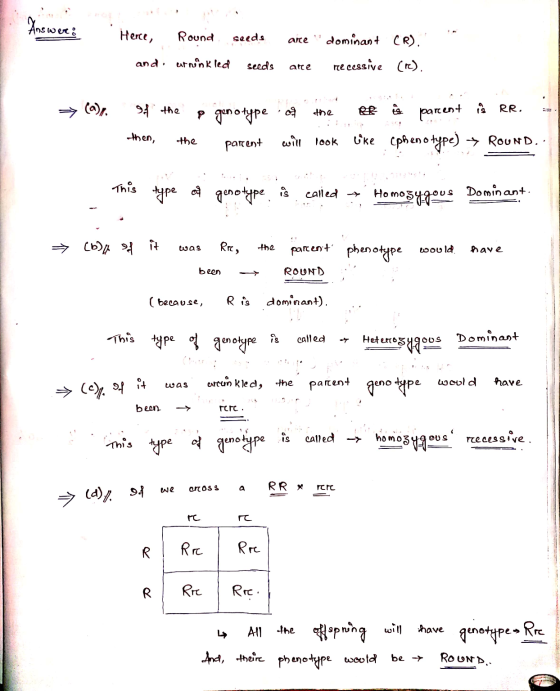 Answere: Here, Round seeds are dominant CR). and urninkled seeds ace recessive cre). → of the ? genotype of e parent iš RR. l