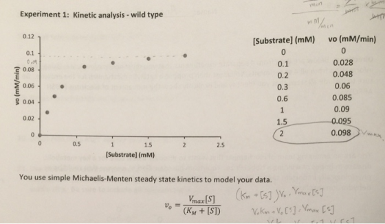 Experiment 1: Kinetic analysis - wild type 0.12 [Substrate) (MM) vo(mm/min) 0.1 0 0.2 vo (mm/min) 0.3 0.6 0.028 0.048 0.06 0.
