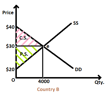 Price SS $40 C.S. $309 P.S. $20 DD 4000 Qty. Country B
