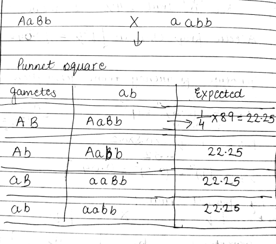 Аавь - x a abb — — Punnet square gametes l a b . Expected х39 22:25 - АВ A abb AЬ Aa bb 22-25 ав аавь 22.5 ab Labb 2.5