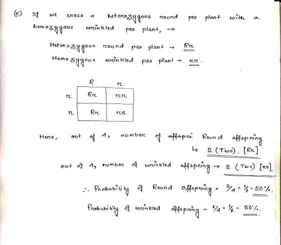 (e) Of we CROSS a heterozygous round pea plant with a etuin kled pea plant, somogy gous Heterogy gous round oy gous pea plant
