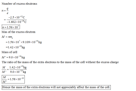 Number of excess electrons n- -2.5 x10-2C -1.602x10-19 C n 1.56x 10 Mas of the excess electron = 1.56×107×9.109×10-31kg -1.42