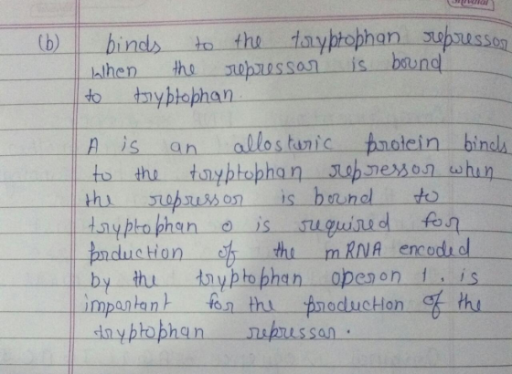 llathen the mpussan is bound to tnybhophan fo pnductHon thi mRNA encodi d us san