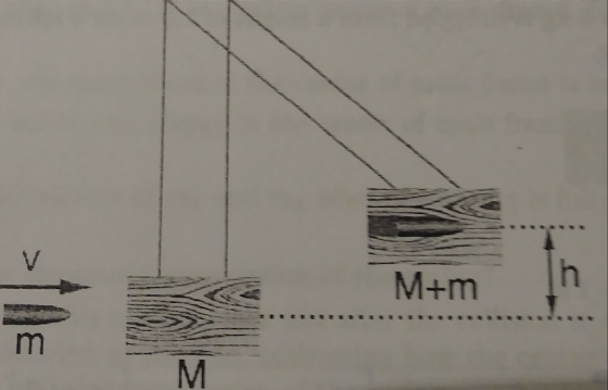 M+m m