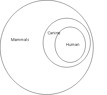 Canina Mammals Human