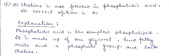 (6) (a) choline is not bresent in to correct option is (a) phosphatidic acido Explanation : Phosphatidic acid is the simplest