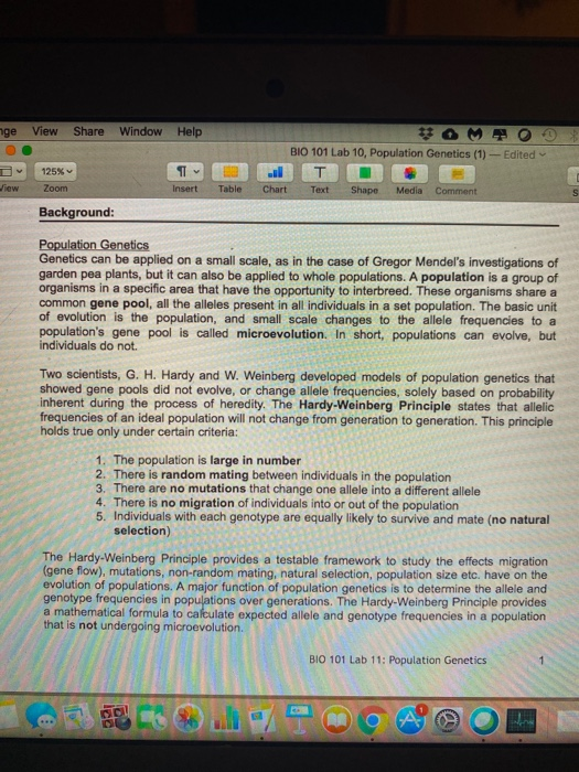 nge View Share Window Help BIO 101 Lab 10, Population Genetics (1) - Edited 125% T Insert View Zoom Table Chart Text Shape Me