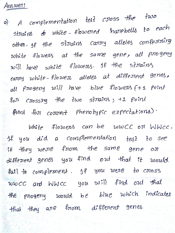the iwo A complementakion tesl cioss stTains 凼 20hite一早lowered hanebells to each zohile flowezs at the same gene, all Pnogeny
