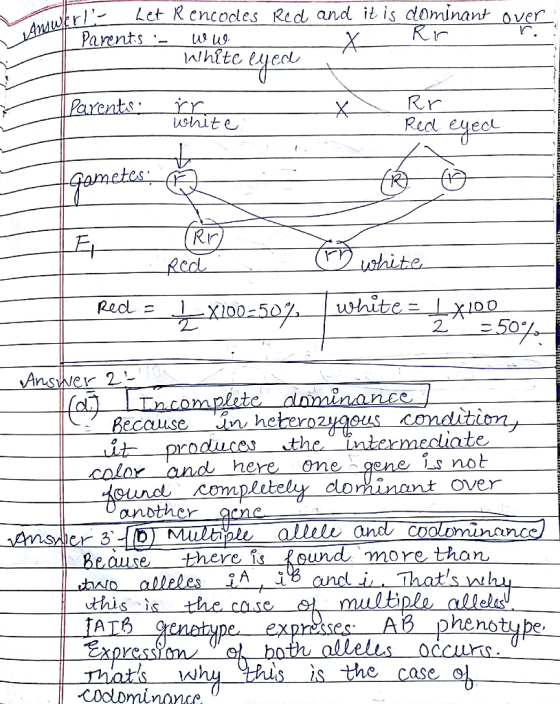 Anwtr Parents Let Rencodles Red and it is dominant over Whitc Rr Redl yeot Parents X uhite gametes Rr) Recl Lthite wthite=Lx