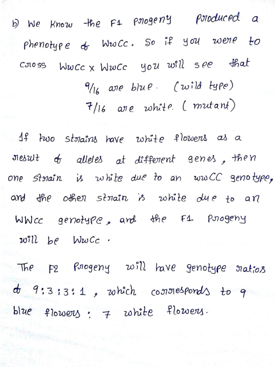 b We Know -lhe fa pnogeny Poroduc eda notype WwCc. So if you wene to Phe wCc you wf se that s ane bhuCwild yPe) T/is ae zohit