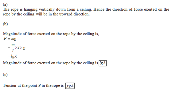 The rope is hanging vertically down from a ceiling. Hence the direction of force exerted on the rope by the ceiling will be i