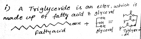 rona D A Triglyceride is an ester, which is made up of fatty acid & glycerol coort + ton = Floy A falty acid glycerol & Trigl