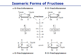 Image result for fructose ring structure