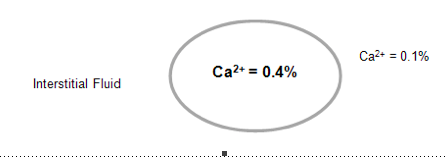 Interstitial Fluid Ca2 0.4 Ca2 0.1%